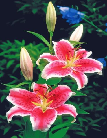 Pink Tiger Lilies Blooming Paint By Numbers