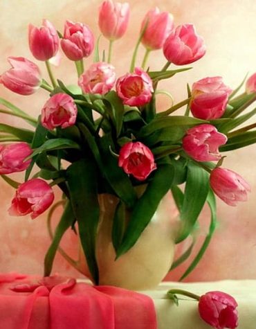 Pink Tulips Flowers Paint By Numbers