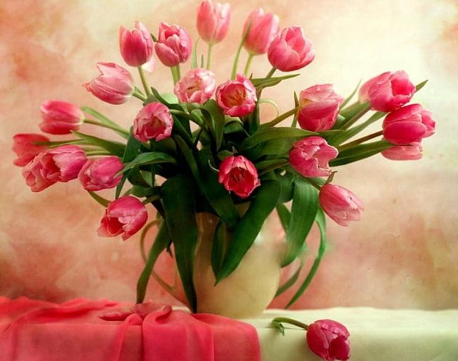 Pink Tulips Flowers Paint By Numbers