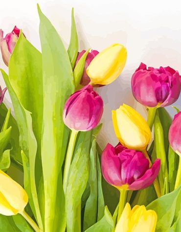 Pink and Yellow Floral Delight Paint By Numbers