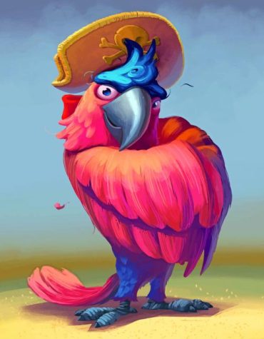 Macaw Pirate Parrot Paint By Numbers