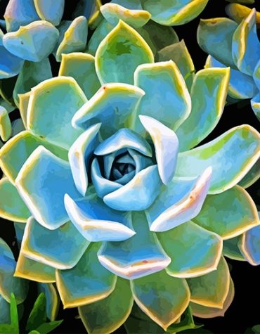 Blue and Green Succulent Paint By Numbers