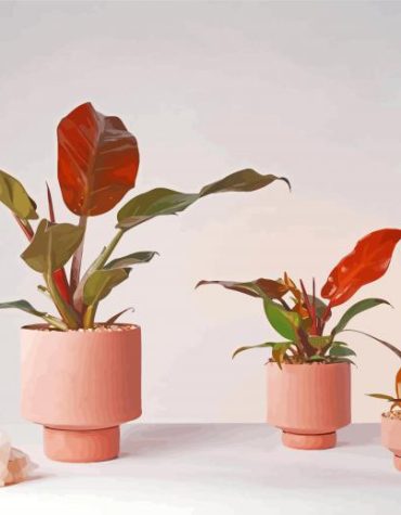 Pink Vase Plants Paint By Numbers