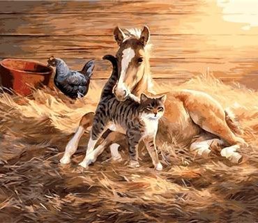 Pony Horse Foal Paint By Numbers