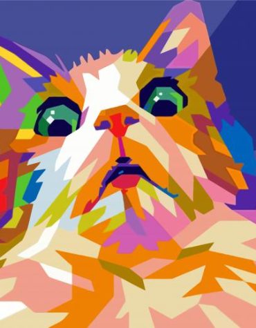 Colorful Frightened Cat Pop Art Paint By Numbers
