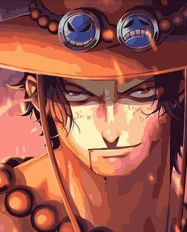 Portgas Ace Anime Art Paint By Numbers