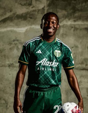 Portland Timbers Stars Paint By Numbers
