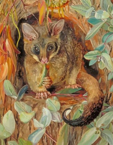 Possum Up A Gum Tree Artwork Paint By Numbers