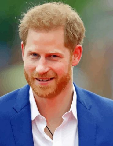 Prince Harry Royal Portrait Paint By Numbers