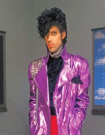 Prince Tribute Celebrity Paint By Numbers