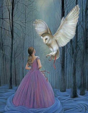 Girls with Owls Paint By Numbers