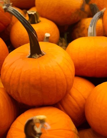 Healthy Pumpkin Paint By Numbers