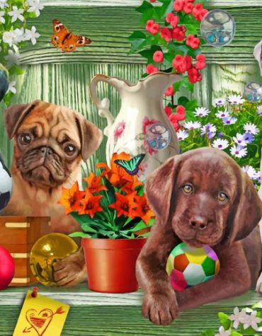 Dalmatian Playtime Paint By Numbers