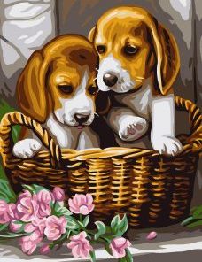 Cute Puppies in Basket Paint By Numbers
