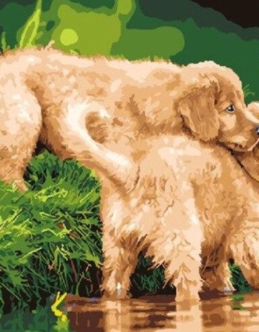 Puppy Adventure River Paint By Numbers