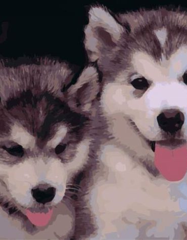 Brown Husky Puppies Paint By Numbers