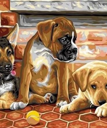 Adorable Puppies and Tennis Balls Paint By Numbers