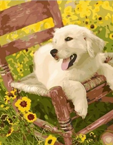 Puppy on a Cozy Chair Paint By Numbers