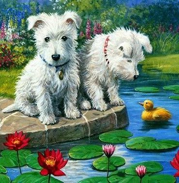 Puppy Adventure on the Lake Paint By Numbers