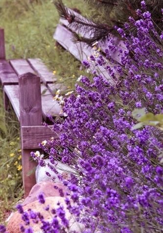 Purple Flower Painting Paint By Numbers