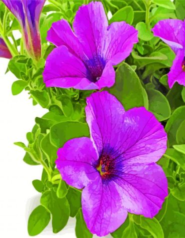 Purple Petunia Flower Paint By Numbers