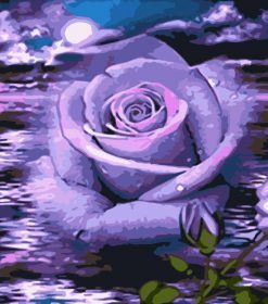 Purple Rose and Moon Paint By Numbers