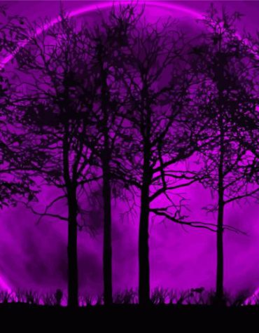 Purple Moon Forest Scene Paint By Numbers