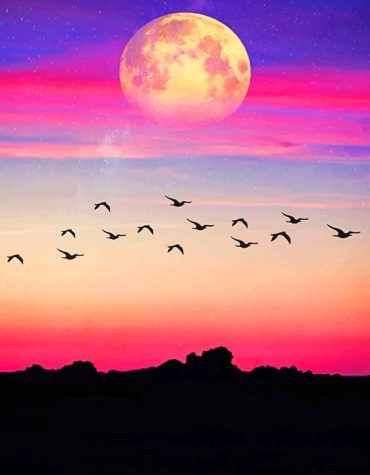 Purple Moonlit Skyline Paint By Numbers