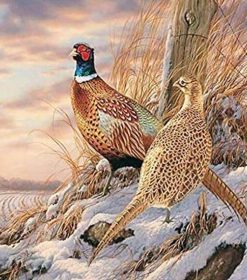 Quail Birds in Snow Paint By Numbers