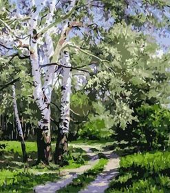 Serene Birch Forest Paint By Numbers