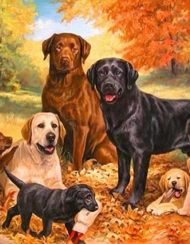 Dog Family in Forest Paint By Numbers