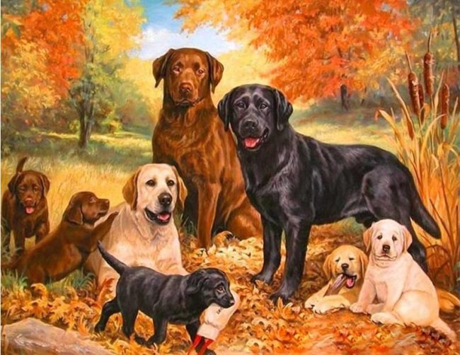 Dog Family in Forest Paint By Numbers