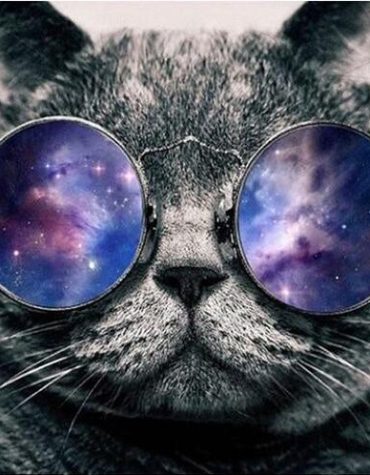 Galaxy Glasses Cat Paint By Numbers
