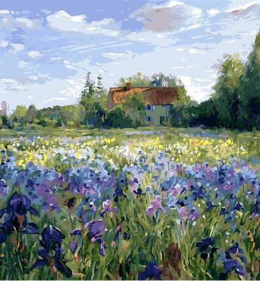 Iris Fields Nature Paint By Numbers