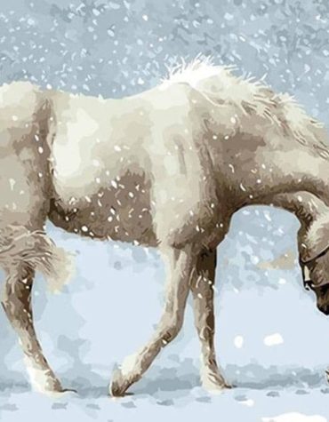 Horse in Winter Wonderland Paint By Numbers