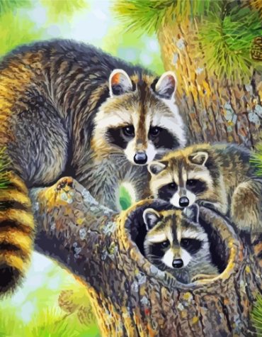 Raccoon Family Portrait Paint By Numbers