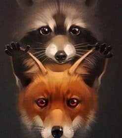 Fox and Raccoon Animals Paint By Numbers