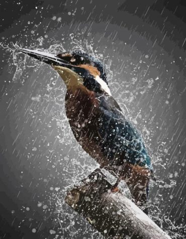 Rainy Bird Watercolor Paint By Numbers