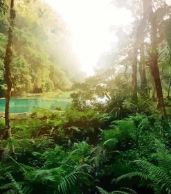 Rainforest Jungle Paint By Numbers