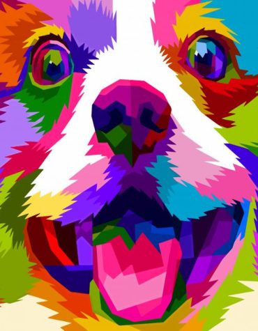 Rainbow Puppy Paint By Numbers