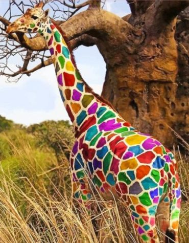 Colorful Rainbow Giraffe Paint By Numbers