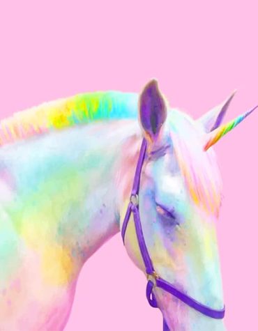 Colorful Rainbow Horse Paint By Numbers