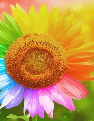 Rainbow Sunflowers Paint By Numbers