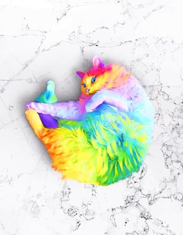 Colorful Rainbow Cat Paint By Numbers
