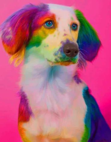 Colorful Rainbow Dog Paint By Numbers