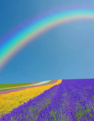 Rainbow Lavender Landscape Paint By Numbers