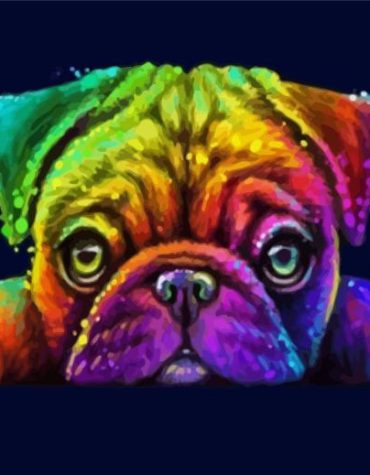 Colorful Rainbow Pug Paint By Numbers