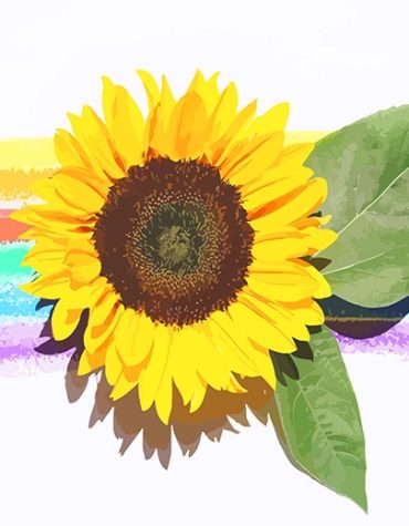 Rainbow Sunflower Painting Kit Paint By Numbers