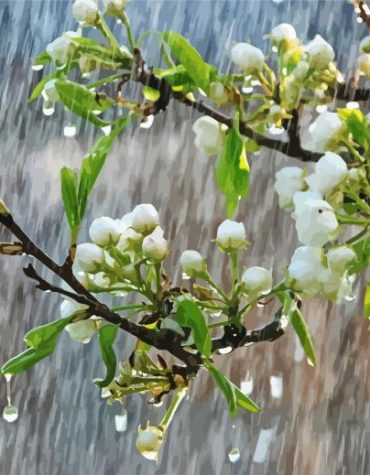 Spring Rain Scenes Paint By Numbers