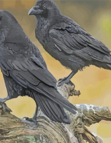 Raven Portrait Paint By Numbers